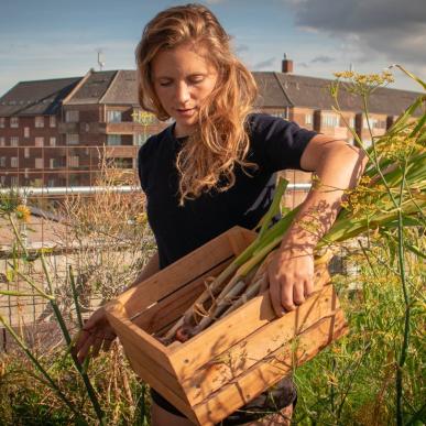 Gro Spiseri Østerbro Copenhagen København økologisk organic