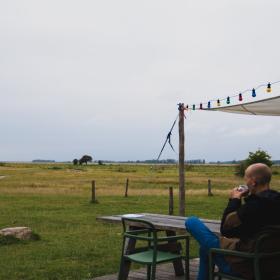 Coffee in Copenhagen's Ørestad neighbourhood overlooking the nature reserve, Amager Fælled. 