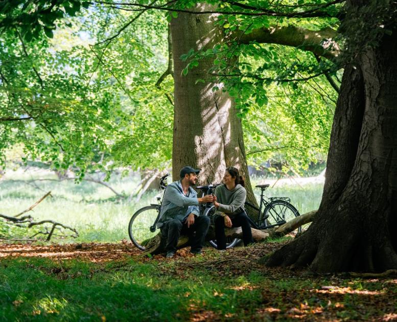 Picnic in the Deer Park